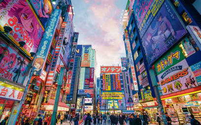 Akihabara to rejon Tokio będący głównie mekką fanów gier, mangi i anime, ale też miejscem, w którym 