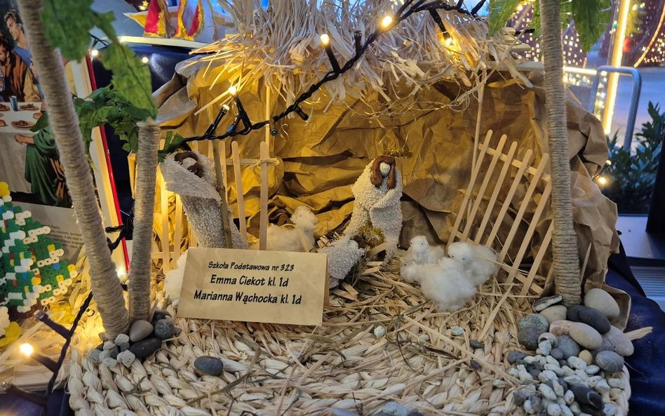 Praca Emmy Ciekot i Marianny Wąchockiej ze Szkoły Podstawowej nr 323