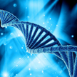 Dwa metry DNA bez supłów