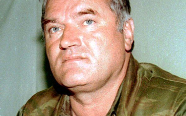 Ratko Mladić (Creative Commons Attribution-Share Alike 3.0 Unported license/ Evstafiev Mikhail)