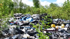 Odpady niebezpieczne znikną z Polski. Aż trzy nielegalne wysypiska są w Sosnowcu