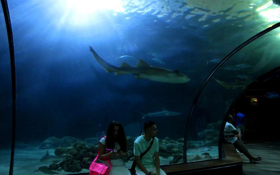 Oceanarium w Rotterdamie