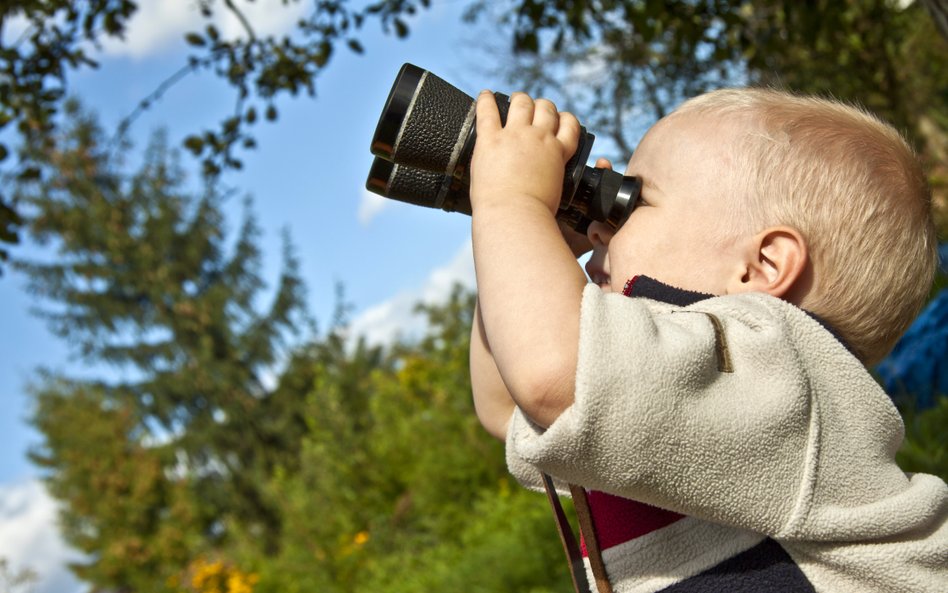 Piknik przyrodniczy w Warszawie/zdjęcie ilustracyjne