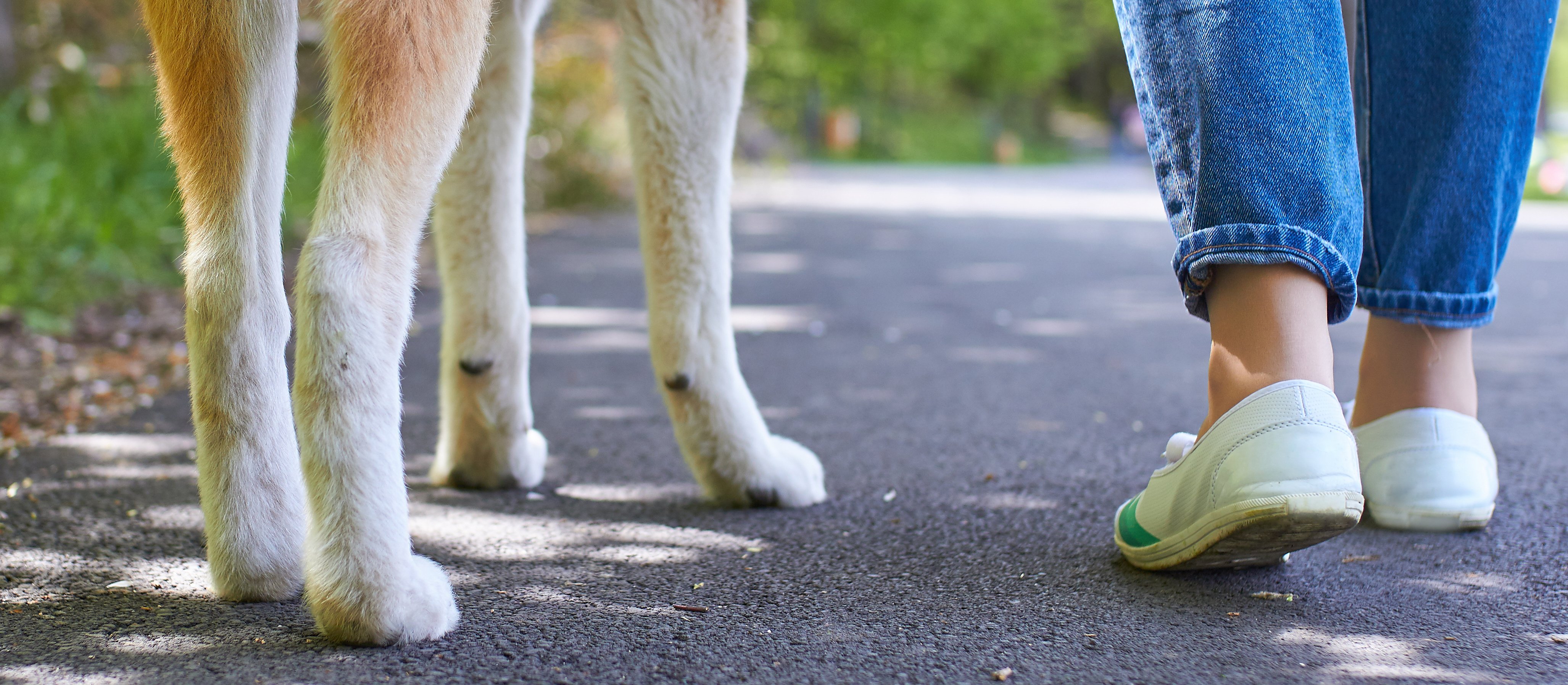 Kalendarium - środa 18 marca