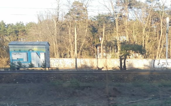 – Sosna pozostanie na swoim miejscu i zostanie odpowiednio zabezpieczona – zapowiada przedstawicielk