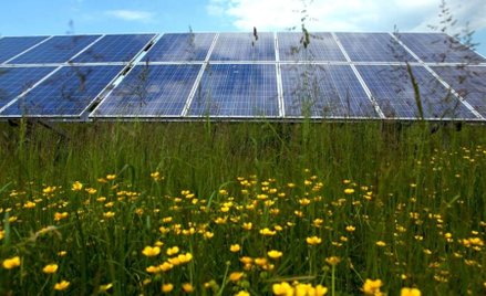 Zielona nadpodaż nie ma szans stopnieć