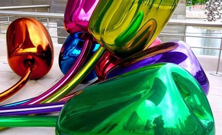 Od lat królem Dnia kobiet jest tulipan w każdej formie