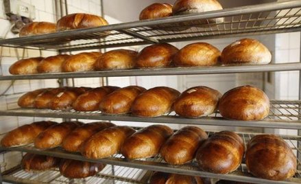 W naszym kraju działa już tylko ok. 9 tys. piekarni. Jeszcze dekadę temu było ich o niemal 3 tys. wi