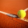 Puchar Davisa: David Goffin straszy Francuzów