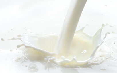 Branża mleczarska liczy profity z eksportu