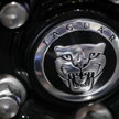 Jaguar/Land Rover na przełomie roku wybierze poddostawców dla fabryki na Słowacji.