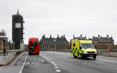 Wielka Brytania: Ponad 11 tysięcy ofiar epidemii