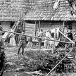 We wsi Berezka były „liczne wypadki, że ludność odchodząc z wiosek całowała ziemię mówiąc: »żegnaj, 