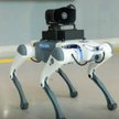 Pies robot z Kazachstanu wykorzystuje AI do rozpoznawania poszukiwanych przez policję osób
