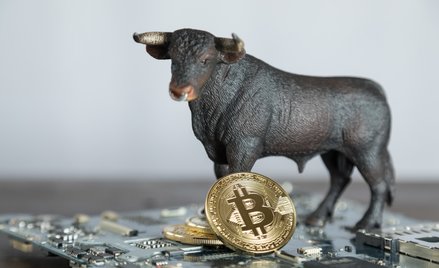 Byki przebudziły się na rynku kryptowalut. Czy trend się utrzyma?