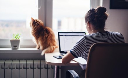 Praca zdalna w domu: bezpieczeństwo i kontrola czasu pracy
