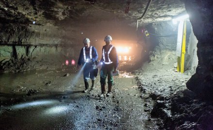 Ceny miedzi, w której wydobyciu potentatem jest Polska, powinny utrzymać się powyżej 10 tys. dol. za