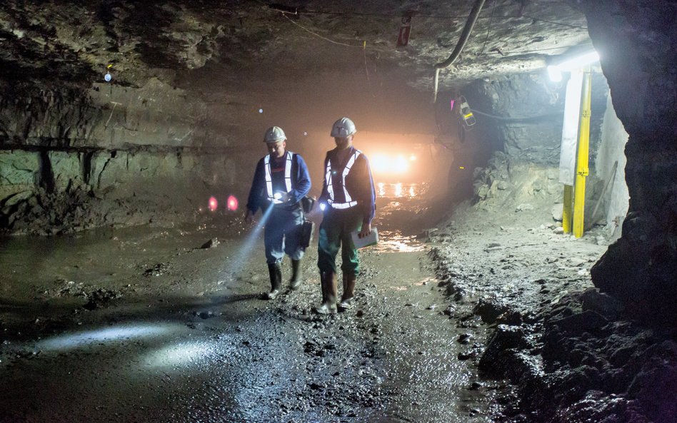 Ceny miedzi, w której wydobyciu potentatem jest Polska, powinny utrzymać się powyżej 10 tys. dol. za