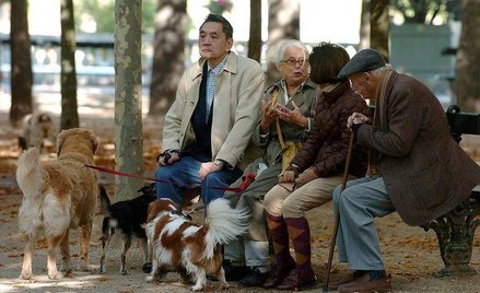 Warto mieć IKE w biurze maklerskim