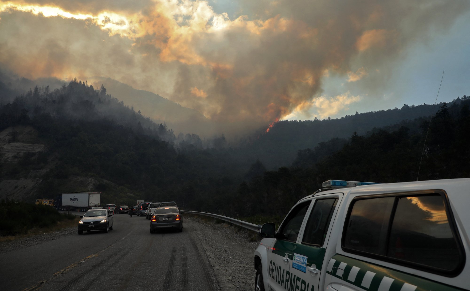 Pożar zniszczył jedne z najstarszych drzew świata. „Rosły przez tysiące lat”
