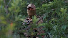 Ukraiński żołnierz należący do „Ptaków Madziara”