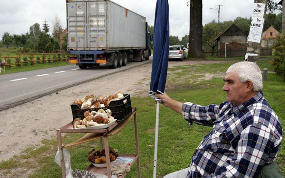 Przychód ze sprzedaży owoców leśnych nie jest obciążony podatkiem