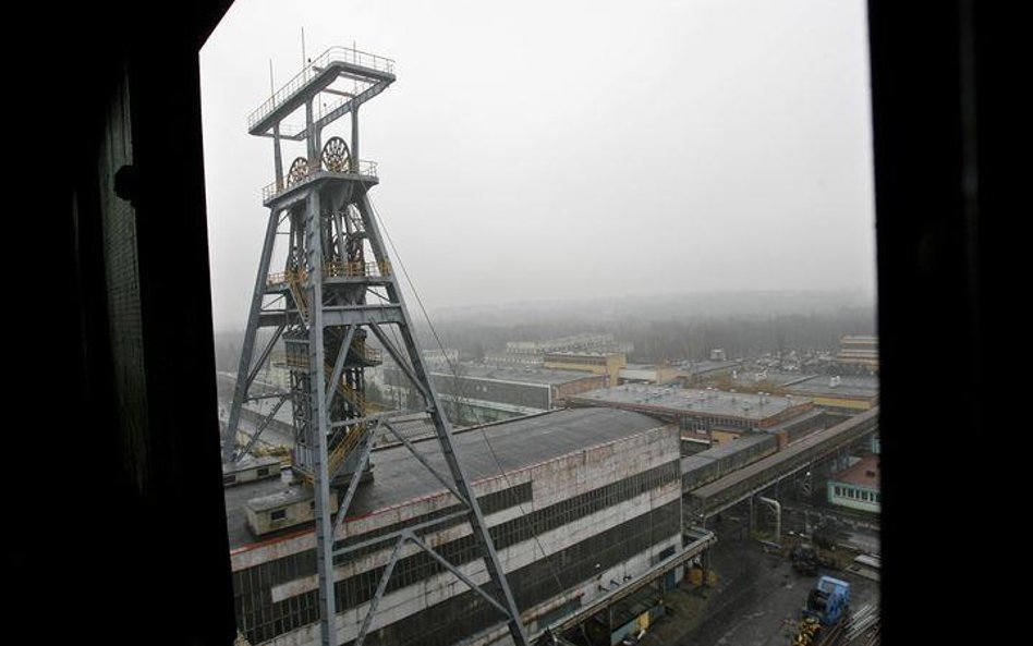 Czy Boruta z Rokitą podbiją polski rynek