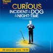 „Dziwny przypadek psa nocną porą" („The Curious Incident of The Dog in The Night-Time")