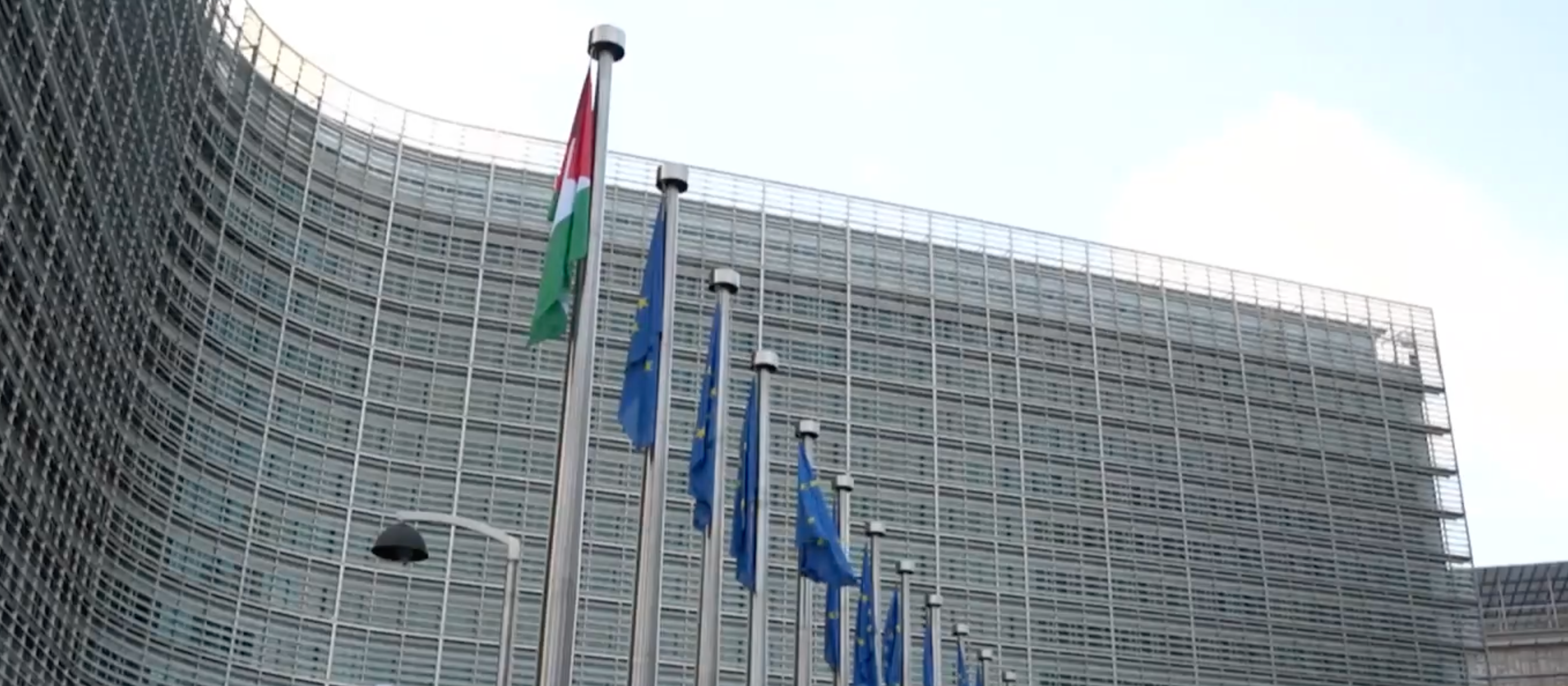 Przedsiębiorcy przeciwko przymusowej elektryfikacji flot