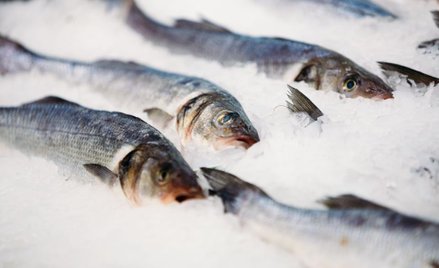 Jak kupić dobrą rybę na Święta? Kontrola Inspekcji Handlowej