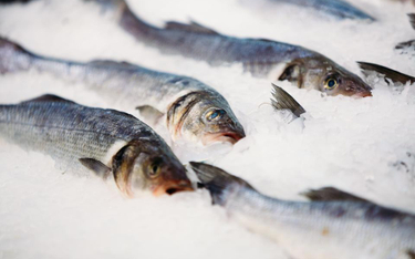 Jak kupić dobrą rybę na Święta? Kontrola Inspekcji Handlowej
