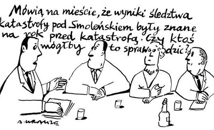 Andrzej Krauze: Komentarz rysunkowy z 15 listopada 2010