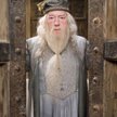 Profesor Dumbledore był gejem? Komentarz J.K. Rowling