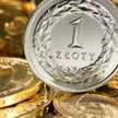 Pozytywy dla złotego