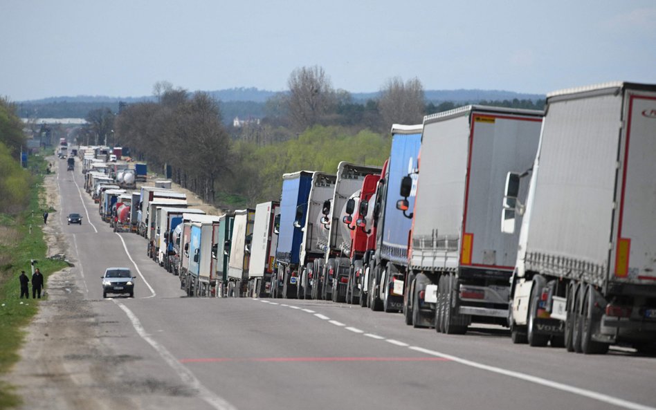 Priorytetem jest usunięcie nadwyżek zboża z rynku krajowego – podkreślają przedstawiciele branży