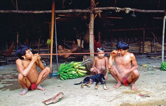 Tradycyjny rytuał epena (halucynogenna żywica umożliwiająca Indianom kontakt ze światem nadprzyrodzo