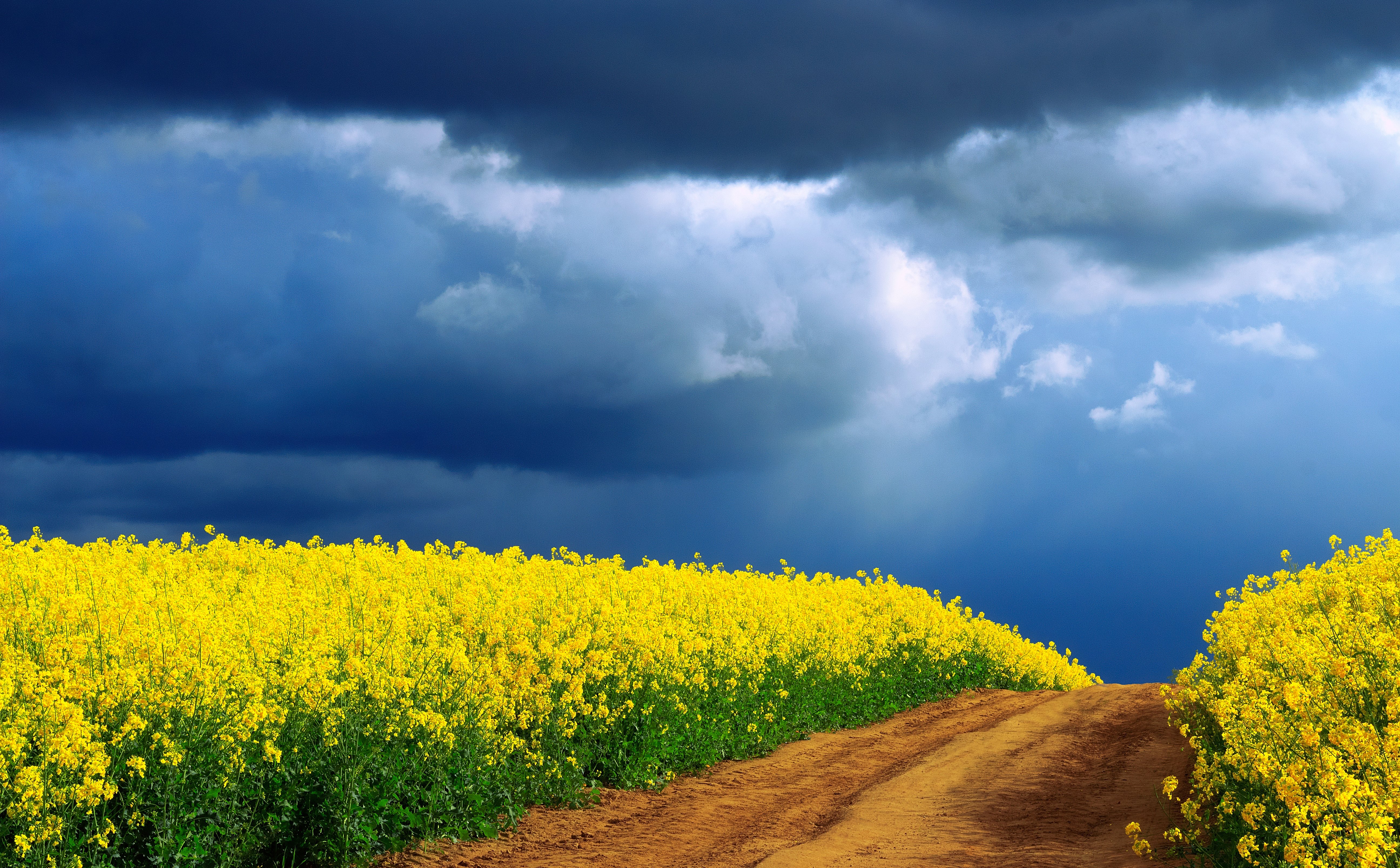 IMGW ostrzega przed burzami. Wydano alerty. Gdzie będzie najgorzej?