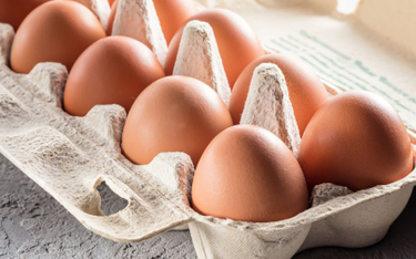 Ceny jaj idą w górę nawet o 20 proc. W tle ptasia grypa
