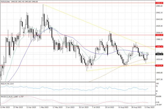 Notowania złota – dane dzienne
