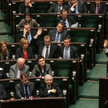 Jak posłowie chcą siebie karać