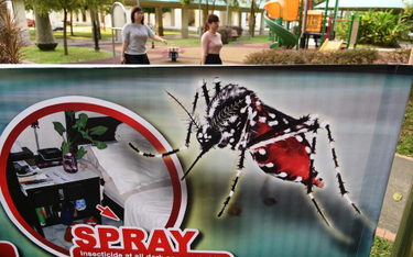 Atak ziki w Singapurze