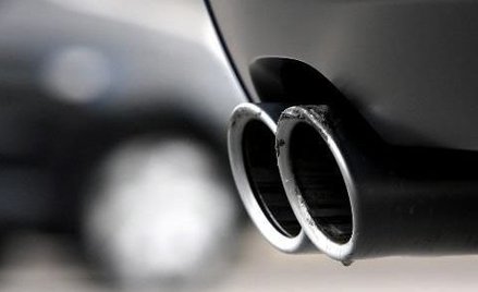 Nowe śledztwo w Volkswagenie z udziałem... małp