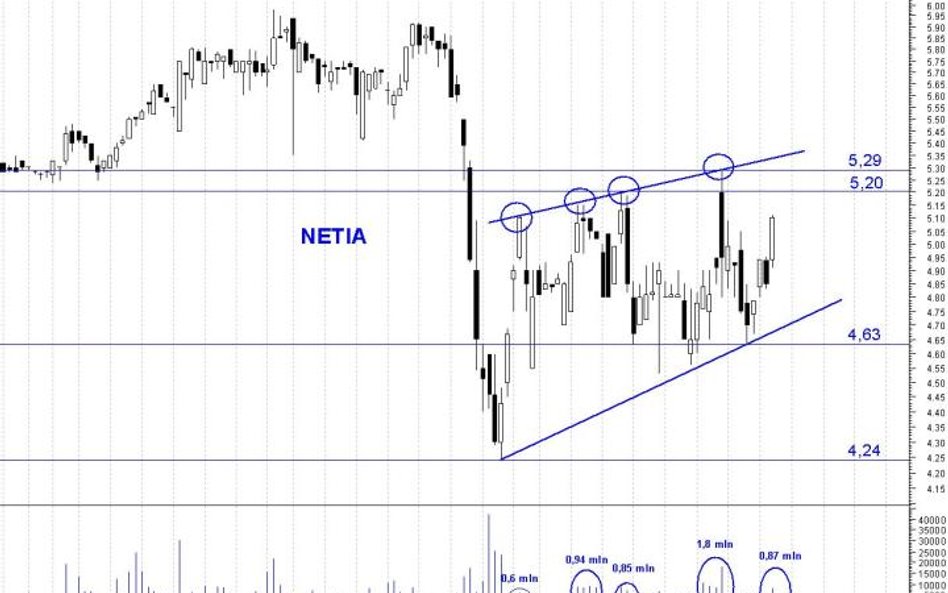 Netia: obiecujące wzrosty