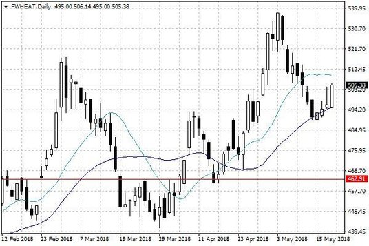 Notowania pszenicy w USA – dane dzienne