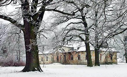 Dwory – bezpańskie skarby państwa w ruinie