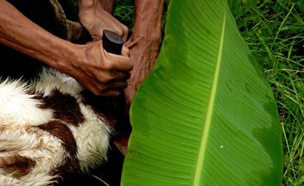 Gminy żydowskie: Decyzja TK to przejaw rozsądku