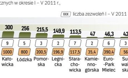 W dobrych strefach po skali planowanych przedsięwzięć widać, że inwestorzy się ożywiają. Ale ruch za