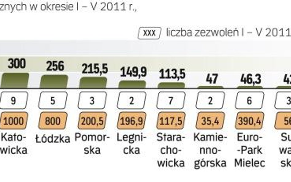 W dobrych strefach po skali planowanych przedsięwzięć widać, że inwestorzy się ożywiają. Ale ruch za