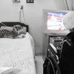 Alzheimer atakuje pokolenie Baby Boom