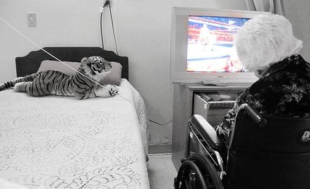 Alzheimer atakuje pokolenie Baby Boom